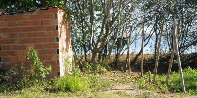 1012517_172328276285841_1545147601_n