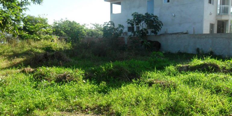 1173733_172328199619182_2015741230_n