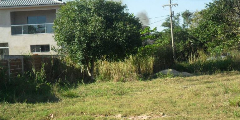 1173871_172328336285835_1794996800_n