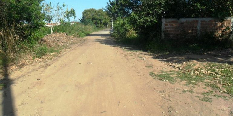 1186053_172328239619178_577323039_n