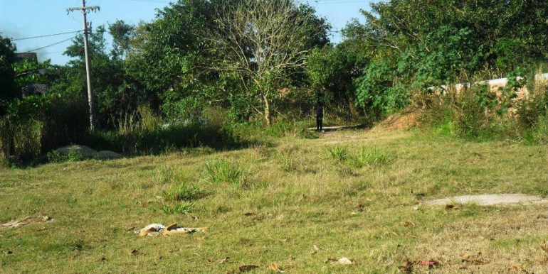 1186110_172328329619169_30281678_n