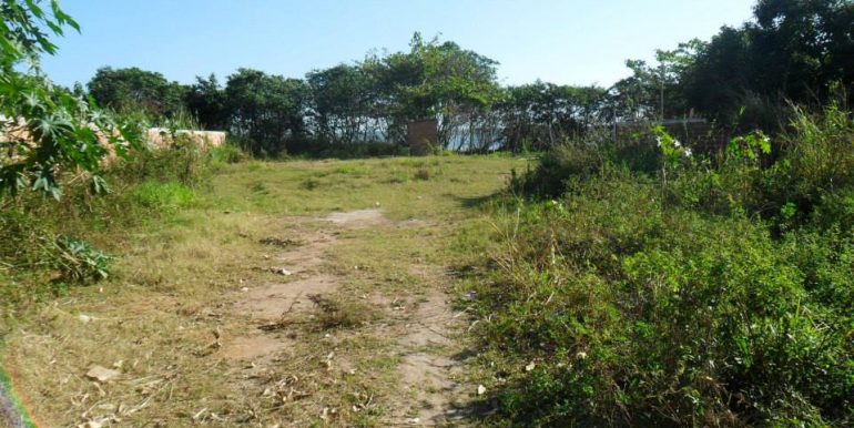 1234071_172328246285844_1724555543_n