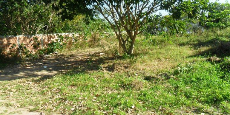 1234979_172328209619181_2131796418_n