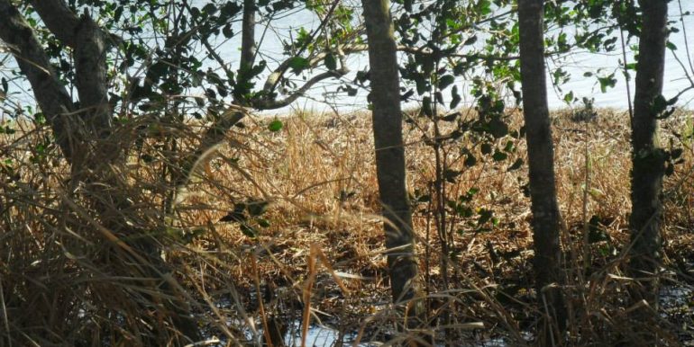 1235305_172328306285838_542037066_n