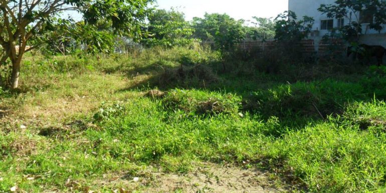 1237799_172328206285848_2064953941_n