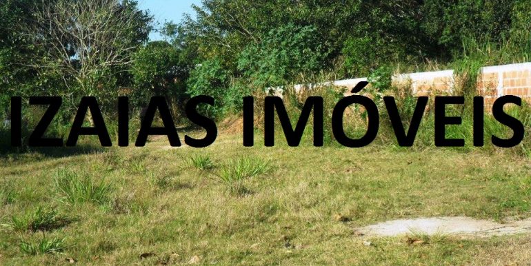 45008_172328352952500_902224755_n