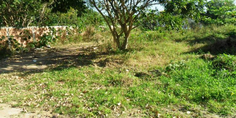 998102_172328252952510_563537043_n