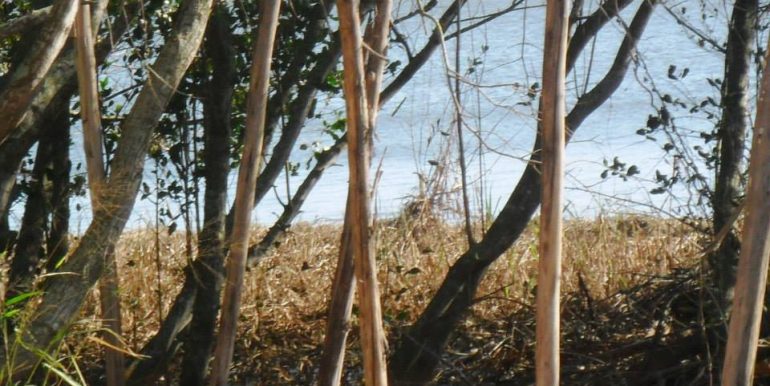 998116_172328296285839_272547003_n