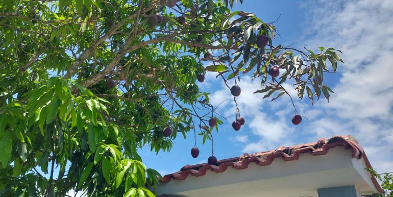 Foto 28-01-2023 10 02 07 (10)