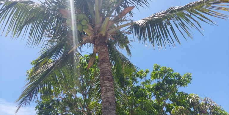 Foto 28-01-2023 10 02 07 (11)