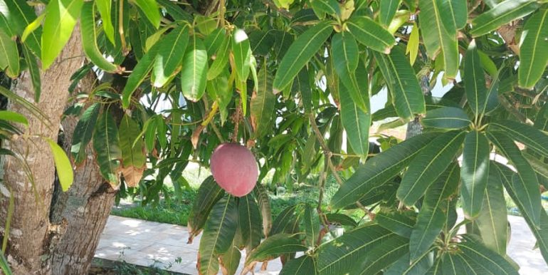 Foto 28-01-2023 10 02 07 (6)