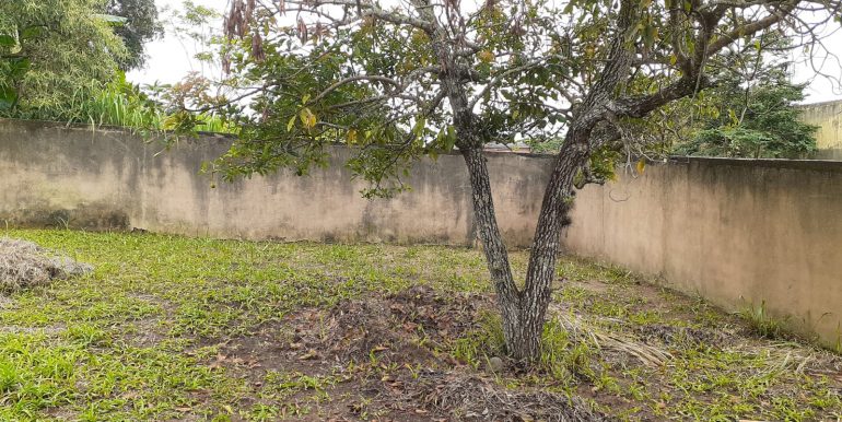 WhatsApp Image 2022-01-12 at 12.12.07 (3)