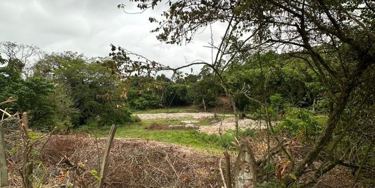 043cefac-b8a1-48ed-a76b-5596df2f2003