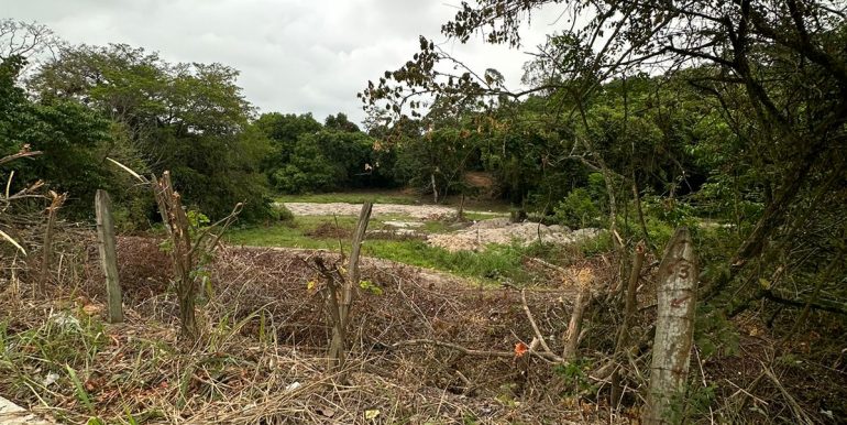 acd54820-d679-4dc9-9495-71d8a95137e5