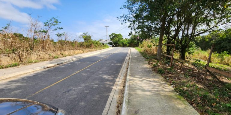 ce4fd55a-184d-484f-abdf-61f4ca8c4588