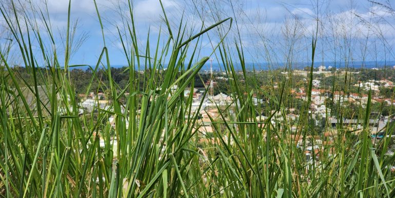 ff8f6157-ffcc-4a2e-b904-5d8b99478759