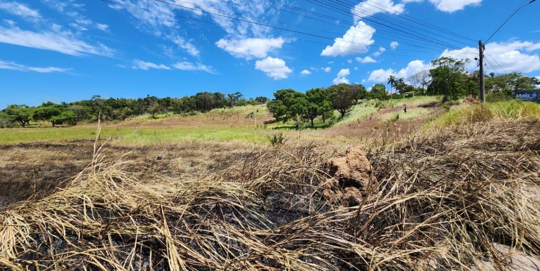 1cca44cd-69cb-4dbc-83c7-7c635650b5e2