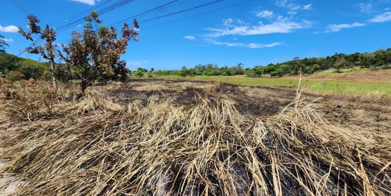 f959ced6-879e-4f48-bc29-661a63a7c8bd