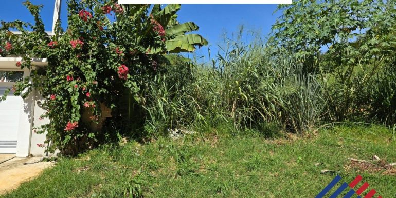 202505091155487487 (1)