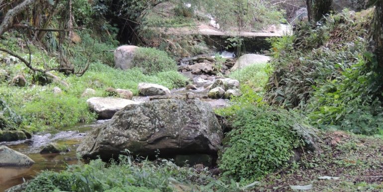 6ce42ac3-15a7-4f51-9aa7-e49484e19bc8