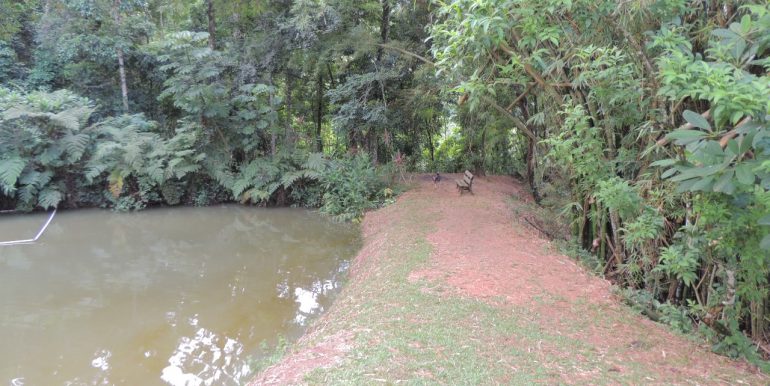 7a67036e-0d32-4387-95ab-102ad162fdfd