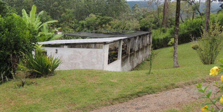 97d9981a-6278-4213-bea9-b4d71de3ab02