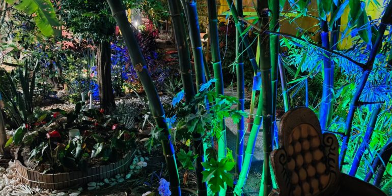 df48142c-da50-4758-9b0e-b4e64f4cbc0d