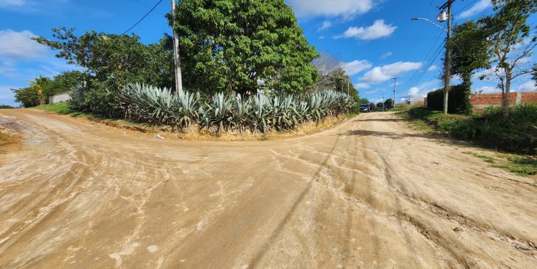 ec106260-2784-4e84-be84-909701aa88b8